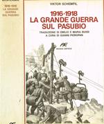 1916-1918 La grande guerra sul Pasubio