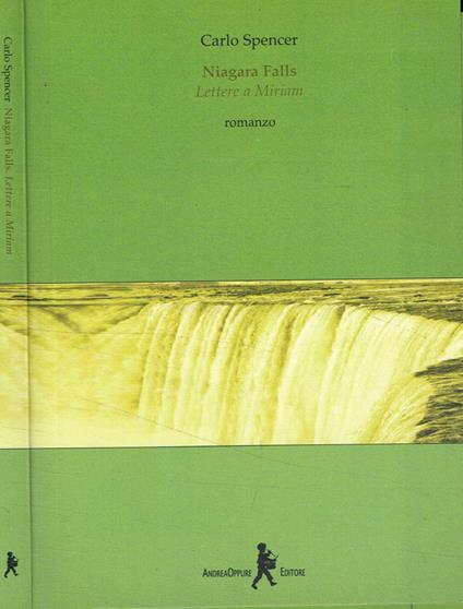 Niagara Falls - copertina