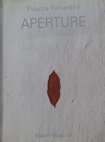 Pinuccia Bernardoni. Aperture - Giovanni Maria Accame - copertina