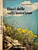 Fiori delle valli bresciane