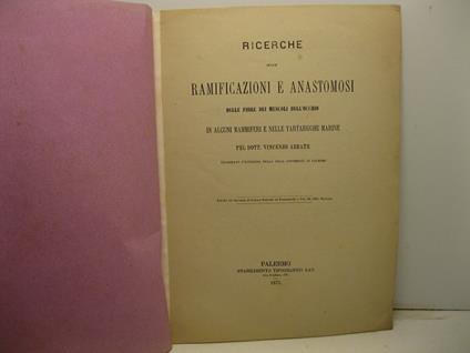 Ricerche sulle ramificazioni e anastomosi delle fibre dei muscoli dell'occhio in alcuni mammiferi e nelle tartarughe marine. Estratto dal Giornale di Scienze Naturali ed Economiche, vol. XI, 1875 - Vincenzo Abbate - copertina