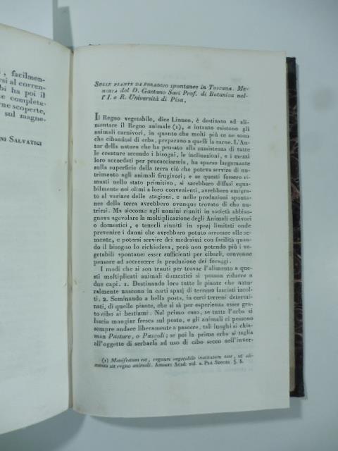 Sulle piante da foraggio spontanee in Toscana. Memoria del D. Gaetano Savi... (Stralcio da: Nuovo giornale de' letterati. N. 21. 1825) - Gaetano Savi - copertina