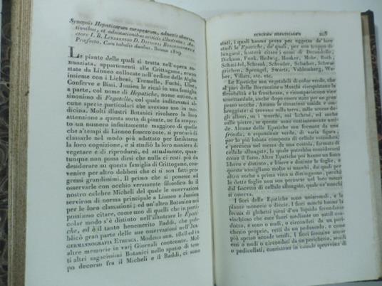 Synopsis hepaticarum europearum adnexis observationibus ...I. B. Linderberg...Bonnae 1829. (Stralcio da: Nuovo giornale de' letterati. N. 54. N. 55. N. 56. 1830 -1831) - Gaetano Savi - copertina