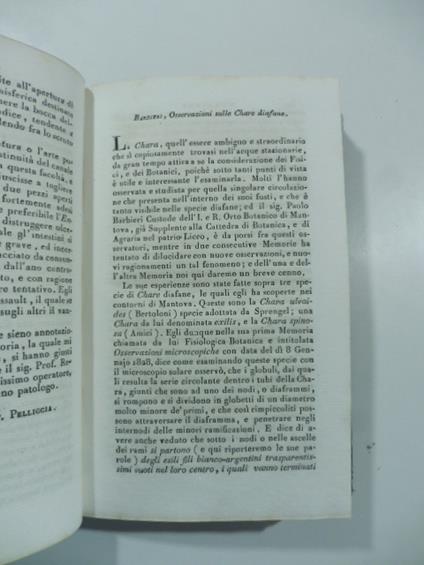 Barbieri, osservazioni sulle Chare diafane. (Stralcio da: Nuovo giornale de' letterati. N. 61. 1832) - copertina