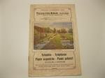 Piscicoltura Borghi. Varano Borghi. Nelumbia, Nymphaeae, piante acquatiche, piante palustri rustiche ed esotiche. Decorazione economica, facile, splendida ed interessante per parchi, giardini, piccoli laghi, stagni, vasche..