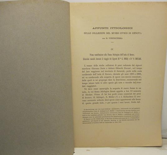 Appunti ittiologici. Sulle collezioni del Museo Civico di Genova. IV. Prima contribuzione alla fauna ittiologica dell'isola di Borneo. Siluroidei raccolti durante il viaggio dei Signori M. G. Doria e D. O. Beccari - Decio Vinciguerra - copertina