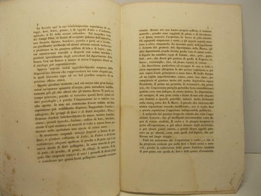 Cenno intorno all'esposizione annuale del 1853 della societa' d'orticoltura di Parigi e centrale della Francia - copertina