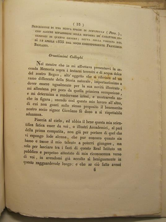 Descrizione di una nuova specie di schizonia (Pers.) con alcune riflessioni sulla riforma de' caratteri essenziali di questo genere letta nella tornata del di' 12 aprile 1835.. - copertina