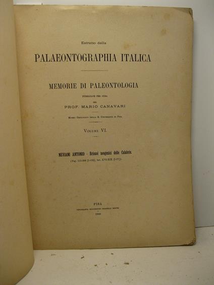 Estratto dalla Palaeontographia italica. Memorie di paleontologia pubblicate per cura del prof. Mario Canavari. Museo geologico della R. Universita' di Pisa, volume VI. Briozoi neogenici delle Calabrie - copertina