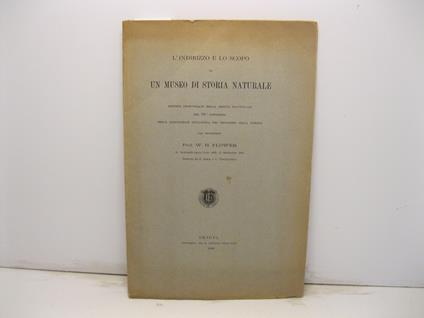 L' indirizzo e lo scopo di un museo di storia naturale. Discorso pronunciato nella seduta inaugurale del 59o Congresso della Associazione britannica pel progresso della Scienza in Newcastle-upon-Tyne addi' 11 settembre 1889 tradotto da G. Doria e D. - copertina