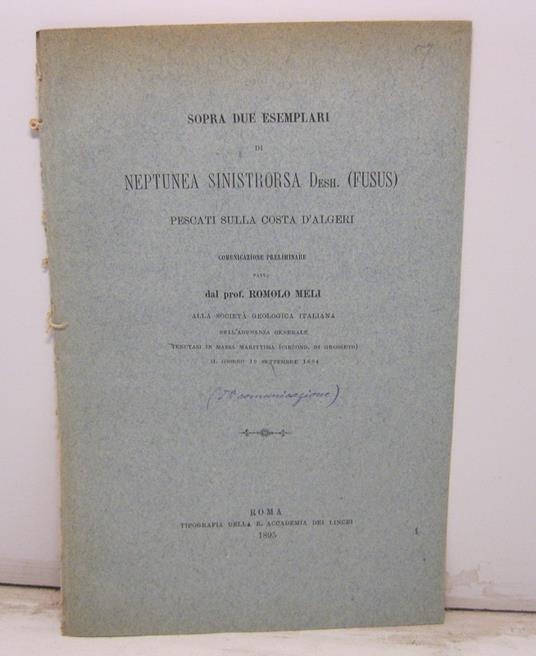 Sopra due esemplari di Neptunea Sinistrorsa Desh. (Fusus), pescati sulla costa d'Algeri. Comunicazione preliminare alla Societa' Geologica Italiana fatta dal prof. Romolo Meli, nell'adunanza generale tenutasi in Massa Marittima (Circond. di Grosseto) - copertina