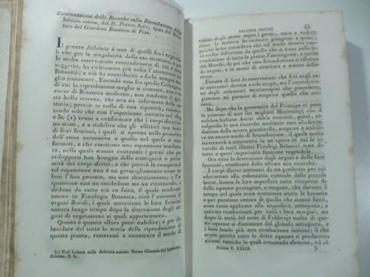 Continuazione delle ricerche sulla fecondazione della Salvinia natans del D. Pietro Savi...(Stralcio da: Nuovo giornale de' letterati. N. 73. 1834) - copertina