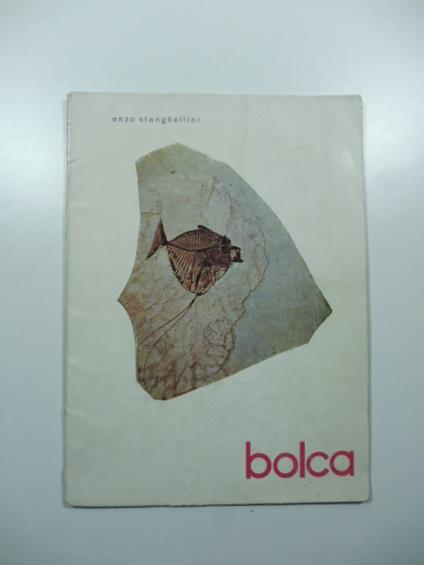 Bolca e i suoi fossili - copertina