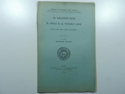 Il grande Sion. Il Sinai e il piccolo Sion (Dove ha posto Dante l'entrata dell'Inferno?) - Rodolfo Benini - copertina