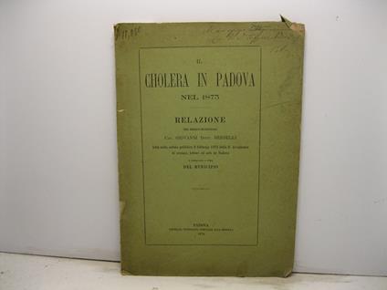 Il cholera in Padova nel 1873. Relazione letta nella seduta pubblica 8 febbrajo 1874 della R. Accademia di Scienze, Lettere ed Arti in Padova e pubblicata a cura del Municipio - Giovanni Berselli - copertina