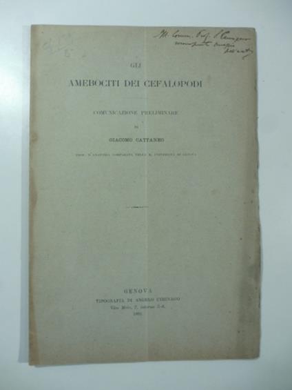 Gli amebociti dei cefalopodi. Comunicazione preliminare - Giacomo Cattaneo - copertina