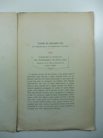 Viaggio di Leonardo Fea in Birmania e regioni vicine. Formiche di Birmania, del Tenesserim e dei Monti Carin (parte II) - Carlo Emery - copertina