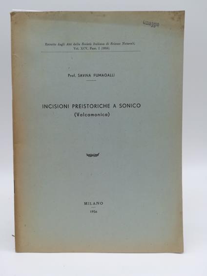 Incisioni preistoriche a Sonico (Valcamonica) - Savina Fumagalli - copertina