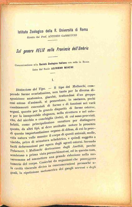 Sul genere Helix nella Provincia dell'Umbria - Alfredo Misuri - copertina