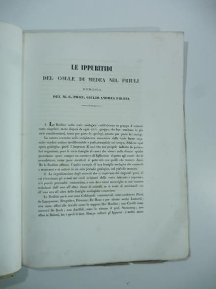 Le ippuritidi del colle di Medea nel Friuli. Memoria SEGUE Sopra una particolare modificazione dell'apparato cardinale in un ippurite - Giulio Andrea Pirona - copertina