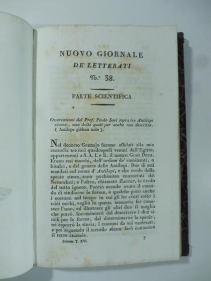 Osservazioni del prof. Paolo Savi sopra tre antilopi viventi una delle quali per anche non descritta. (Stralcio da: Nuovo giornale de' letterati. N. 38. 1828) - Paolo Savi - copertina