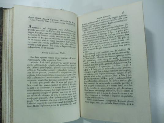 Sopra alcune Acacie Egiziane. Memoria del Prof. Cav. Gaetano Savi. (Stralcio da: Nuovo giornale de' letterati. N. 52. 1830) - Paolo Savi - copertina