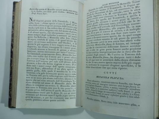 Sopra due specie di Motacillae non per anche state trovate in Italia. una delle quali inedita. Memoria del Prof. Paolo Savi. (Stralcio da: Nuovo giornale de' letterati. N. 57. 1831) - Paolo Savi - copertina