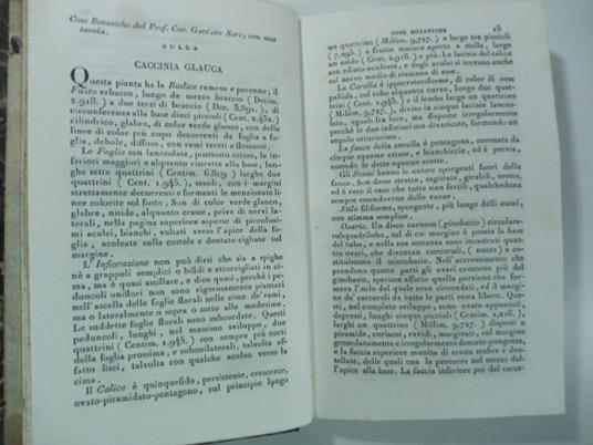 Cose botaniche del Prof. Cav. Gaetano Savi con una tavola. (Stralcio da: Nuovo giornale de' letterati. N. 58. N. 61. N. 62. 1831. 1832) - Paolo Savi - copertina