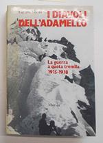 I diavoli dell'Adamello. La guerra a quota tremila. 1915-1918