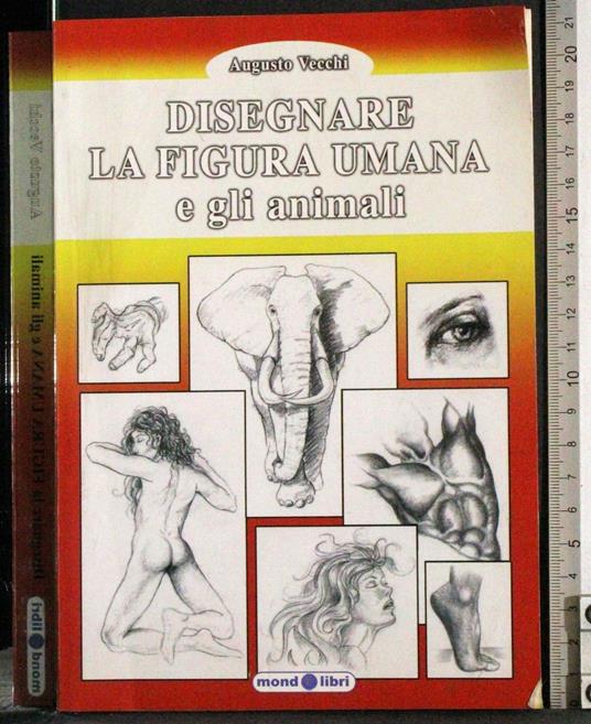 Disegnare la figura umana e gli animali - Augusto Vecchi - copertina