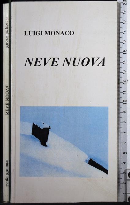 Neve nuova - Luigi Monaco - copertina