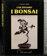 Coltiviamo i bonsai