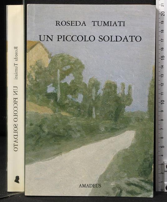 Un piccolo soldato - Roseda Tumiati - copertina