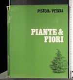 Piante & Fiori