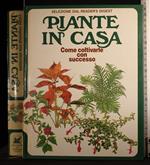 Piante in casa