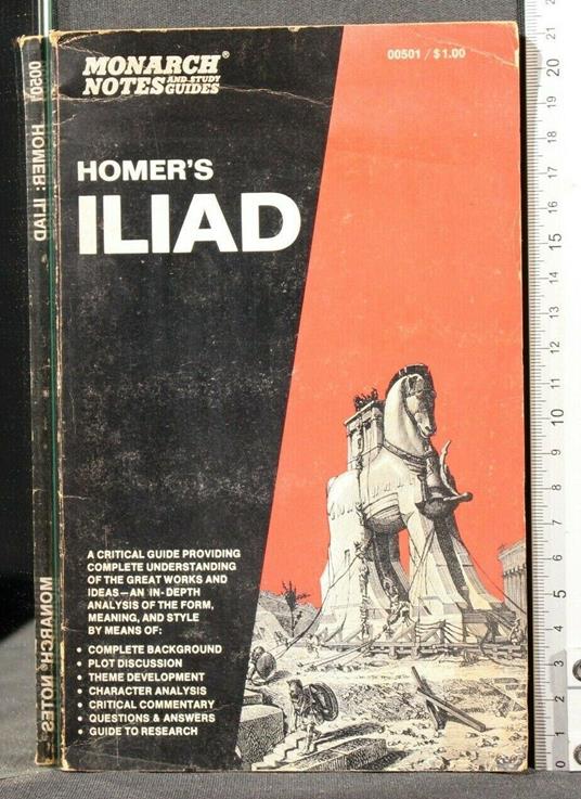 Homer'S Iliad a Critical Guide - copertina