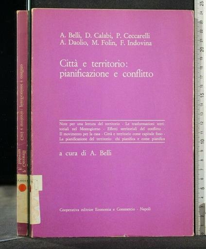 Città e Territorio: Pianificazione e Conflitto - copertina