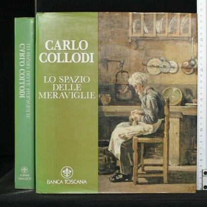 Carlo Collodo Lo Spazio Delle Meraviglie - copertina