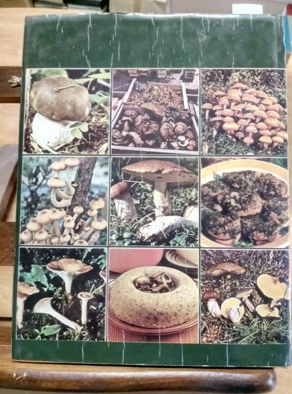 I Funghi Cercarli Conoscerli Cucinarli - Raris - Fabbri 1974 Molte Schede - Fernando Raris - copertina