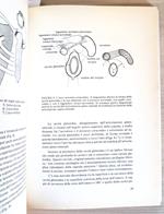 La Spalla Nell'Emiplegia - Rene Cailliet - Marrapese 1984 Illustrato
