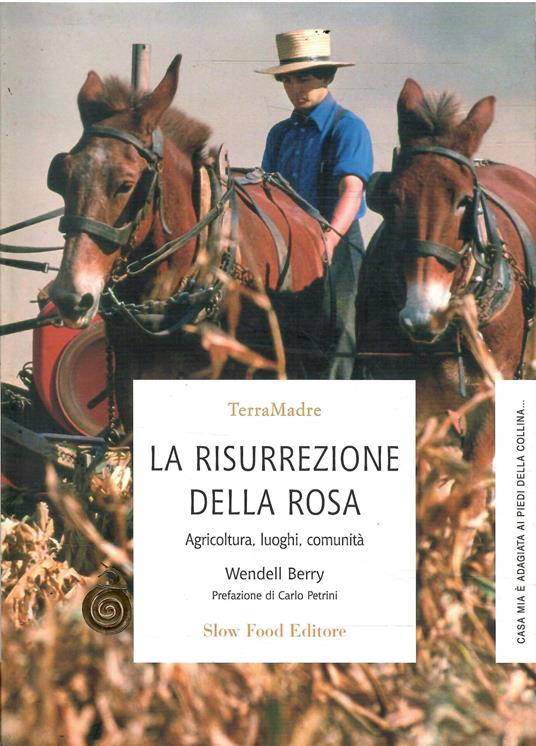 Risurrezione Della Rosa - Agricoltura, Luoghi, Comunità - Wendell Berry - copertina