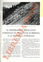 Le sistemazioni idraulico-forestali in provincia di Brescia e la Bonifica integrale