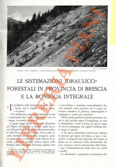 Le sistemazioni idraulico-forestali in provincia di Brescia e la Bonifica integrale - F. Angelini - copertina