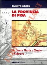 provincia di Pisa. Monografia della Provincia. Volume settimo