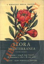 Flora mediterranea.