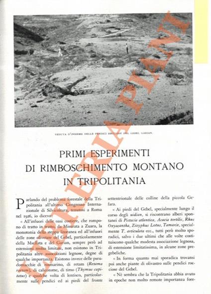 Primi esperimenti di rimboschimento montano in Tripolitania - Giuseppe Leone - copertina