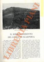 Il rimboschimento del Giogo di Scarperia