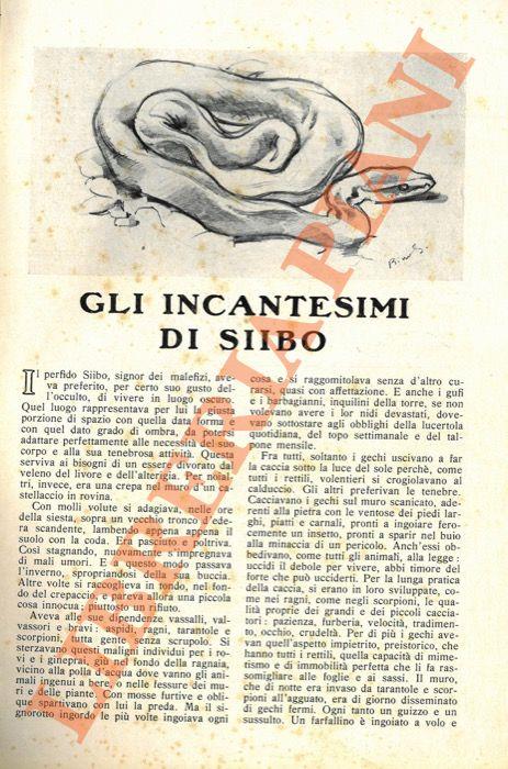 Gli incantesimi di Siibo - Bino Sanminiatelli - copertina