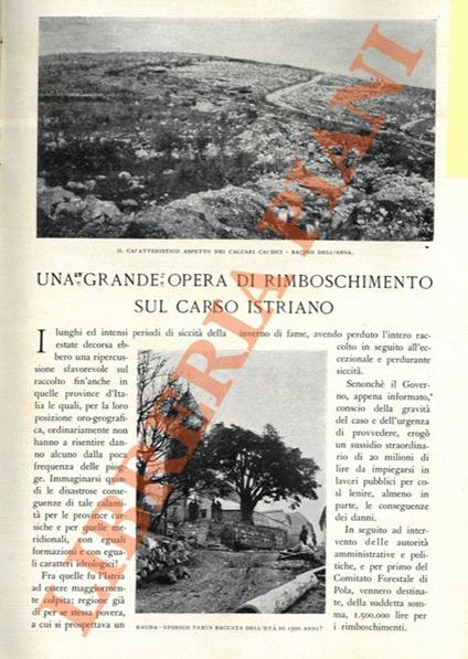 Una grande opera di rimboschimento sul Carso Istriano - Antonio Scala - copertina
