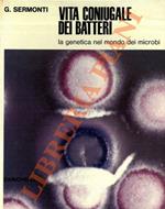 Vita coniugale dei batteri. La genetica nel mondo dei microbi